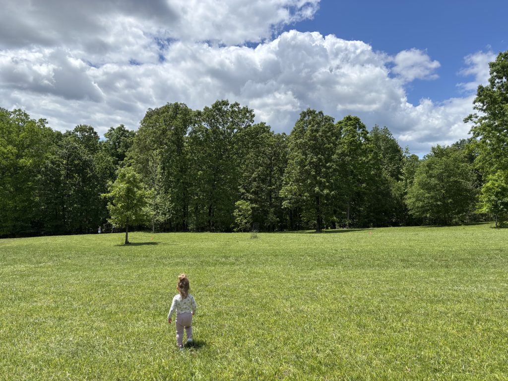 Summer field with child running and lush green grass