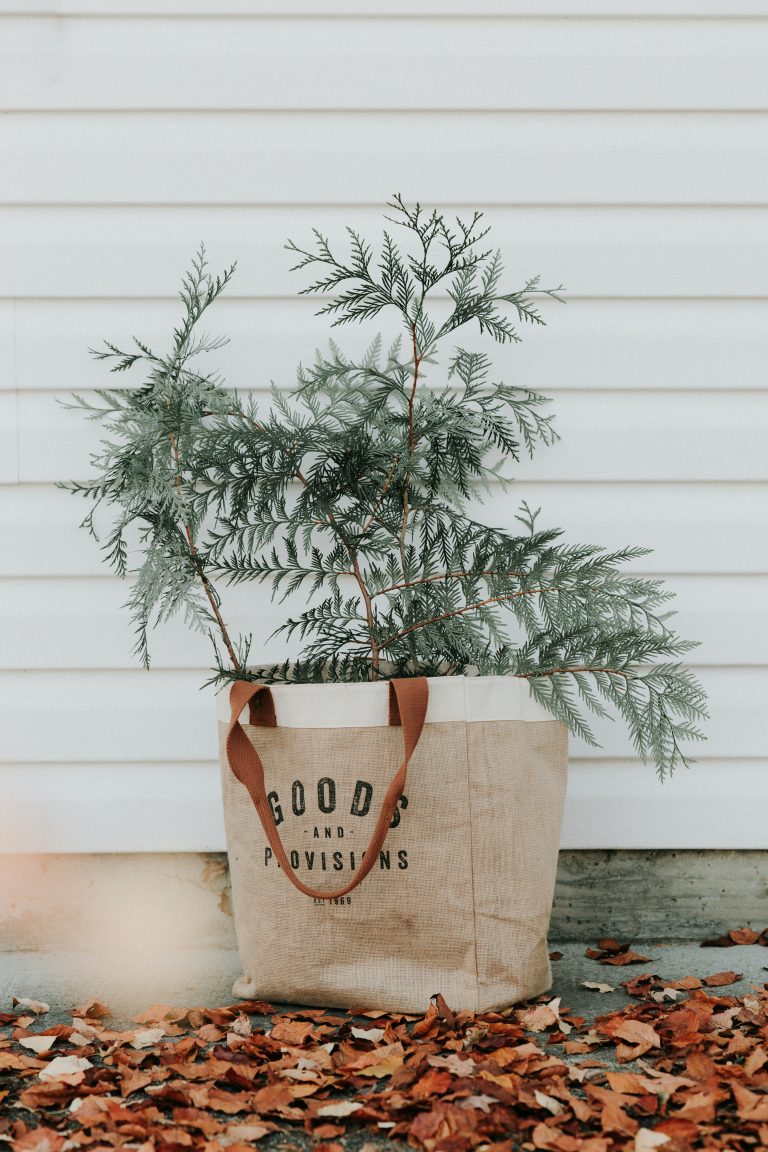 evergreen branch in linen shopping bag