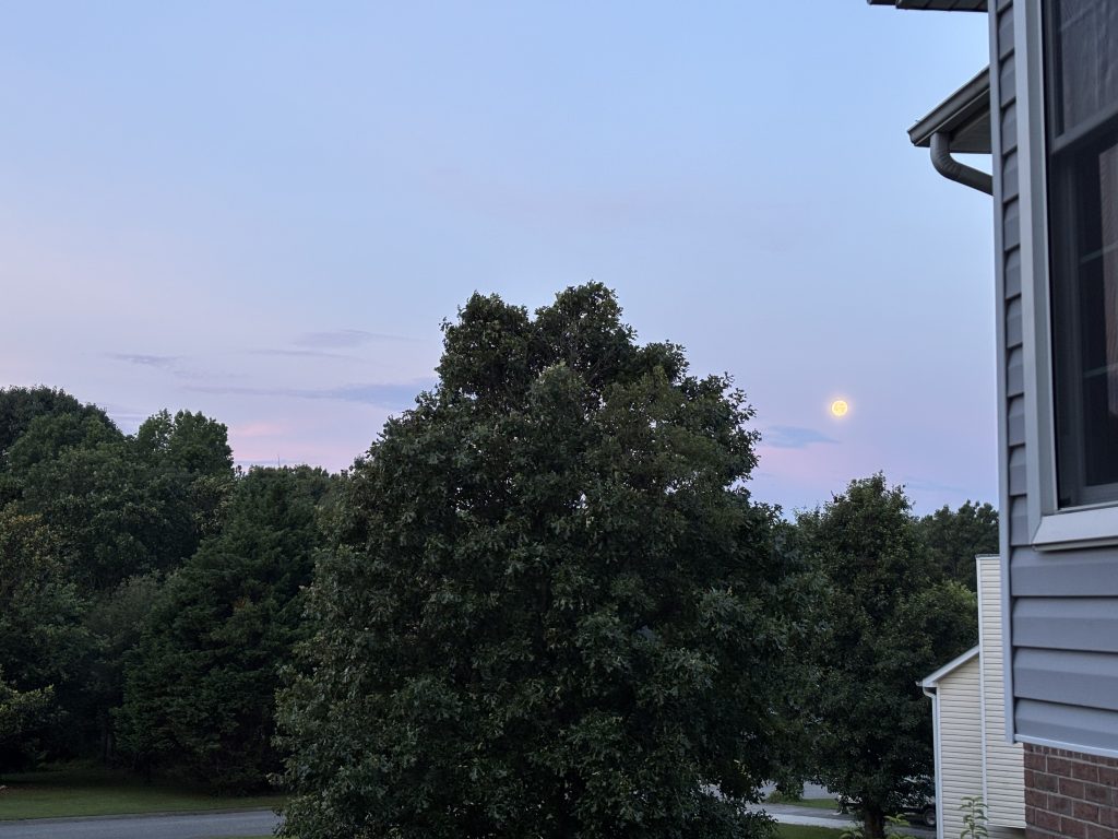 early morning sunrise with candy colored skies and a bright moon still visible on the horizon above treeline